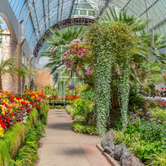 Uvnitř zimní zahrady Domaine.