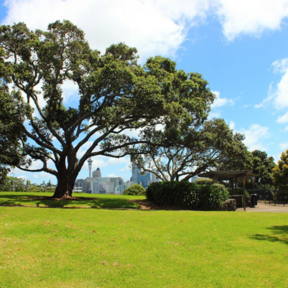 Veřejný park Dove Myer Robinson.