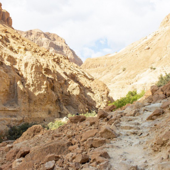 Údolí v přírodní rezervaci En Gedi.