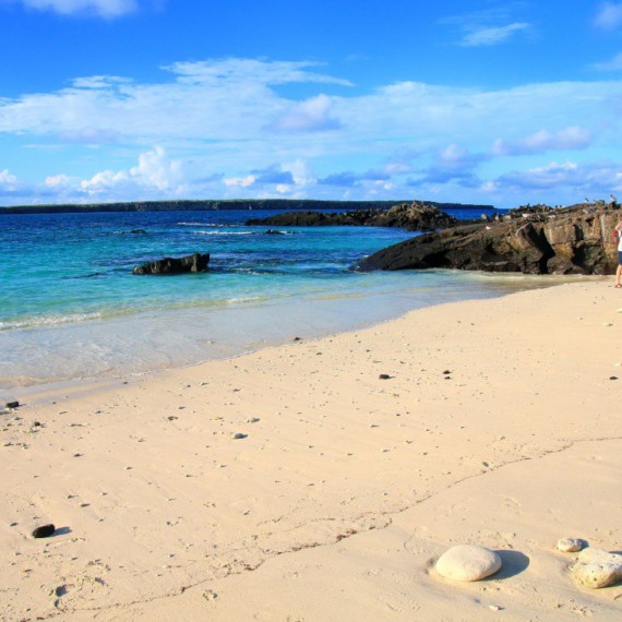 Pláž na ostrově Genovesa.