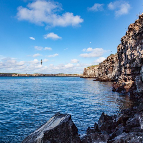 Zátoka ostrova Genovesa.