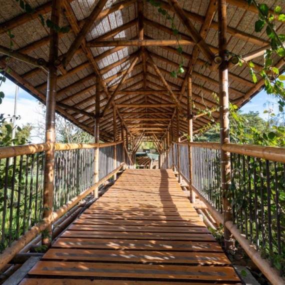 Dřevěný most v botanické zahradě José Celestino Mutis.