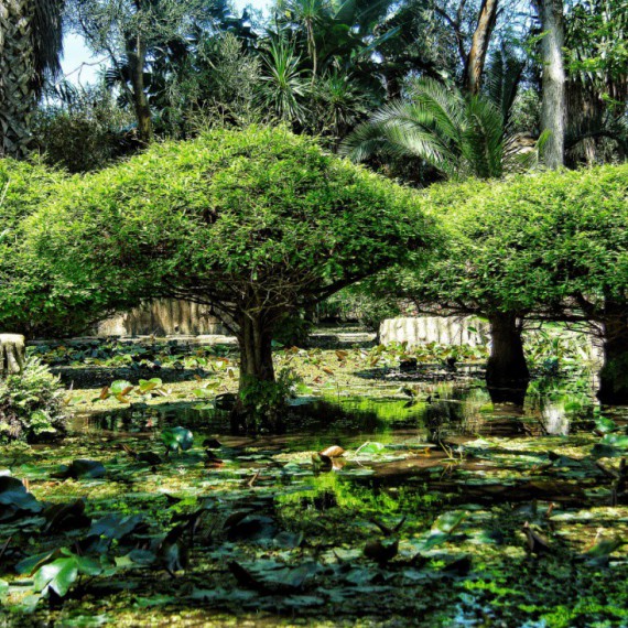 Zahrady Jardins Exotiques.