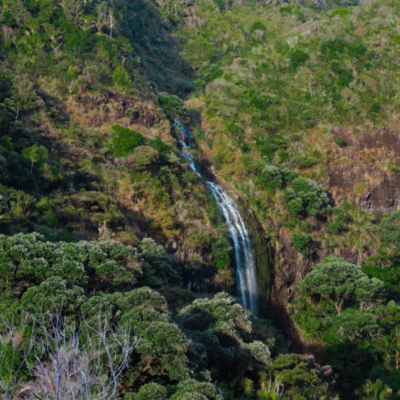 Krajina v okolí vodopádů Karekare.
