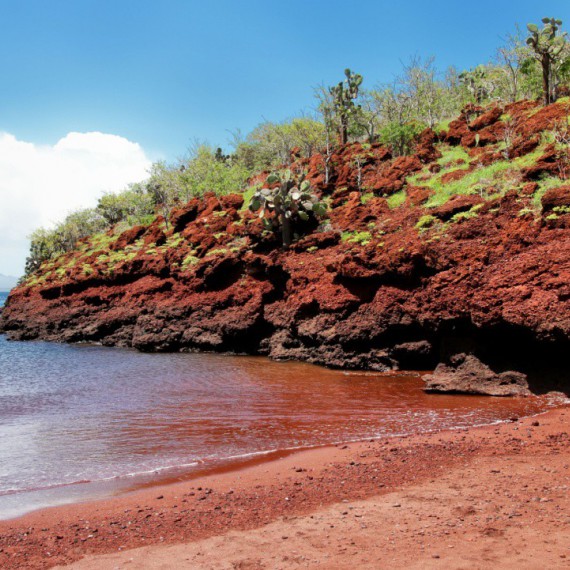 Červená pláž na ostrově Rábida.