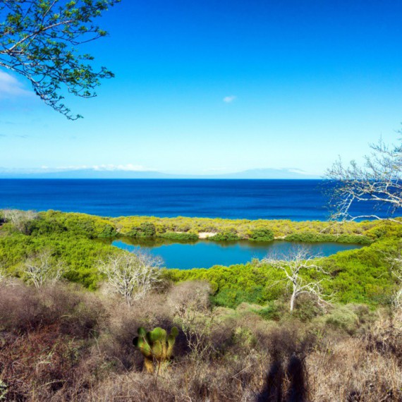 Příroda u pobřeží ostrova Santiago.