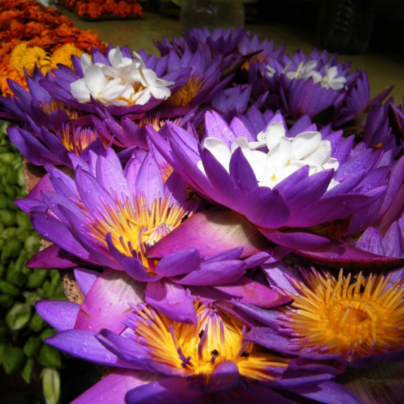 Trh s květinami v Kandy.