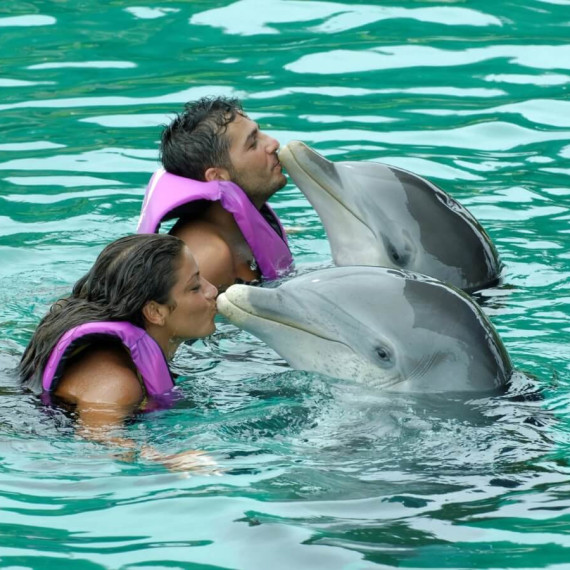 Mladý pár s delfíny v bazénu.