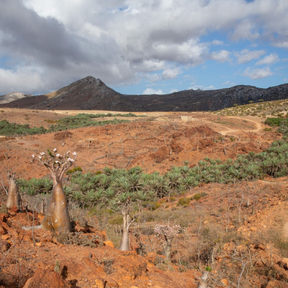 Přírodní cesta místní krajinou.