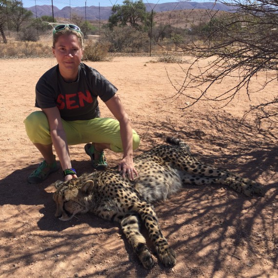 SEN hladí geparda štíhlého.