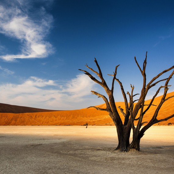 Deadvlei v poušti Namib