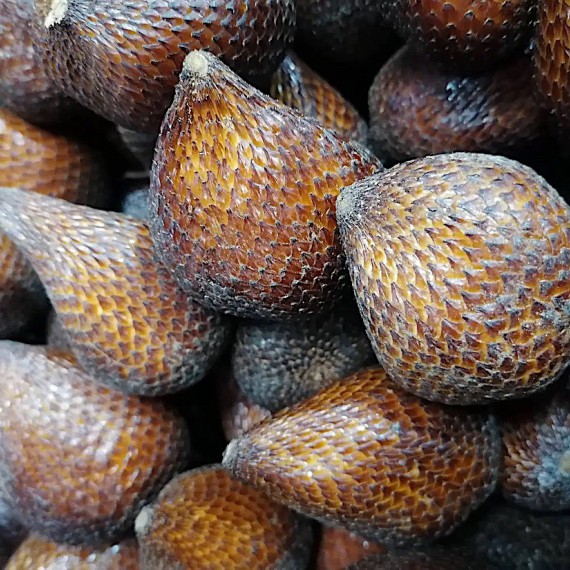 Ovoce salak ze Sumatry.
