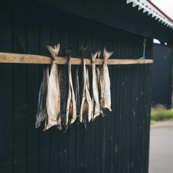 Sušené ryby.