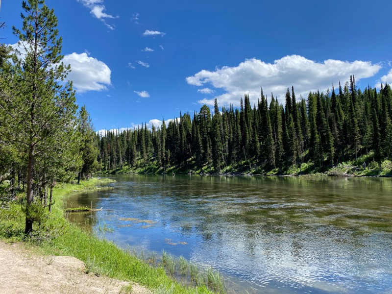 Caribou-Targhee National Forest.