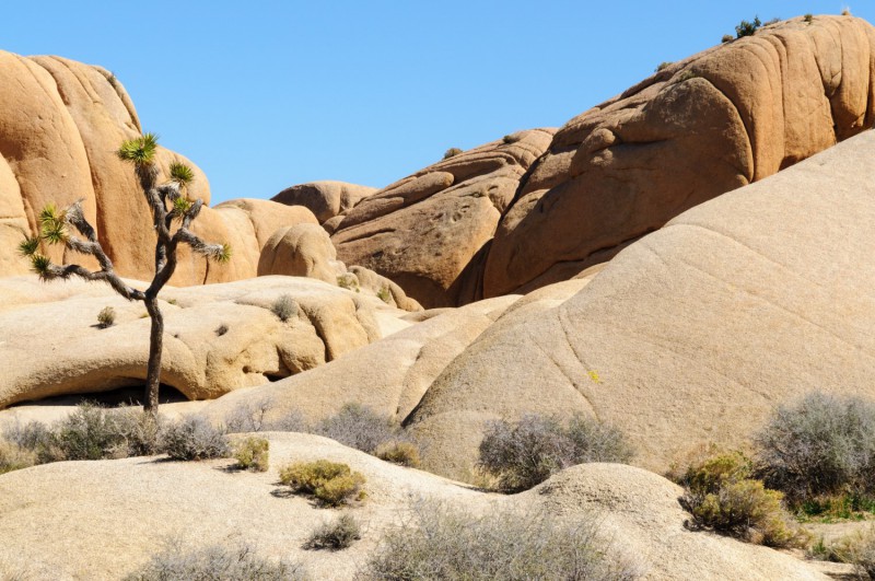 Skály v Joshua Tree National Park.