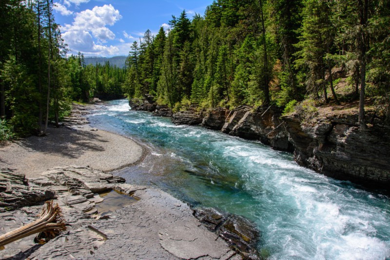 Flathead National Forest.