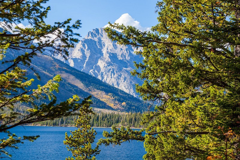 Pohled z lesa přes jezero na hory v NP Grand Teton.