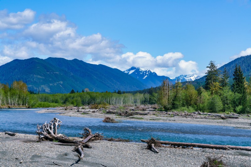 Hoh River Trail.