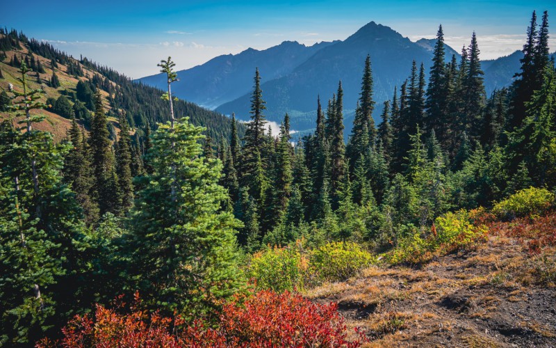 Hurricane Hill Trail.