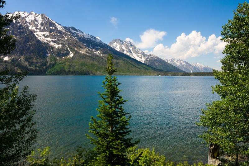 Jenny Lake.