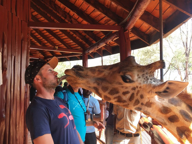 Žirafa olizuje Martina po tváři.