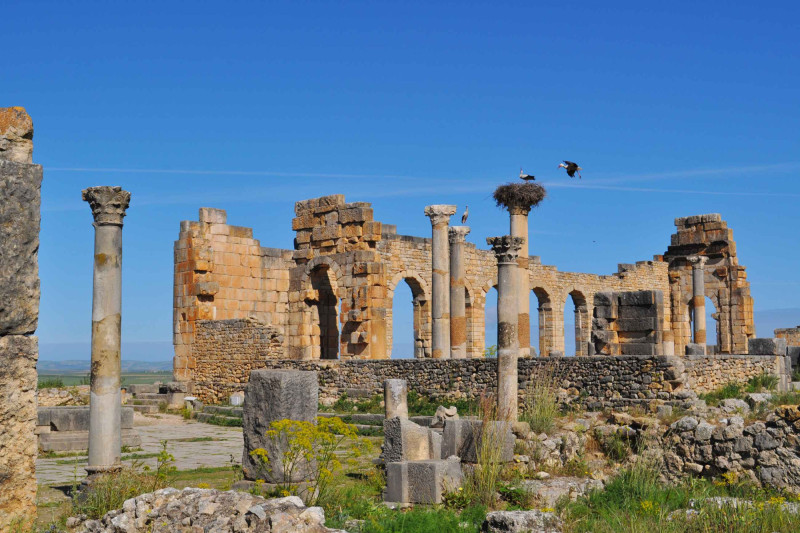 Zřícenina římského města Volubilis.