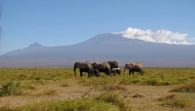 Národní park Amboseli – Safari pod Kilimandžárem.