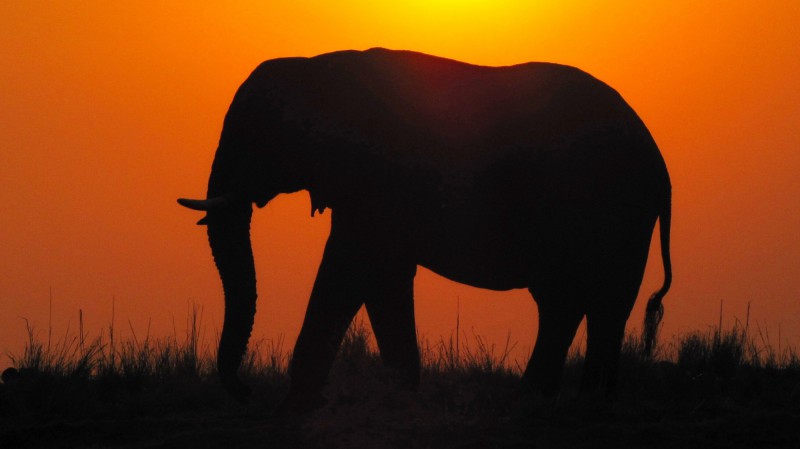 Západ slunce, safari v Africe