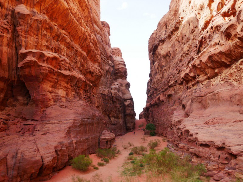Zeleň v kaňonu ve Wadi Rum.