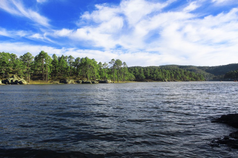 Jezero Arareko.