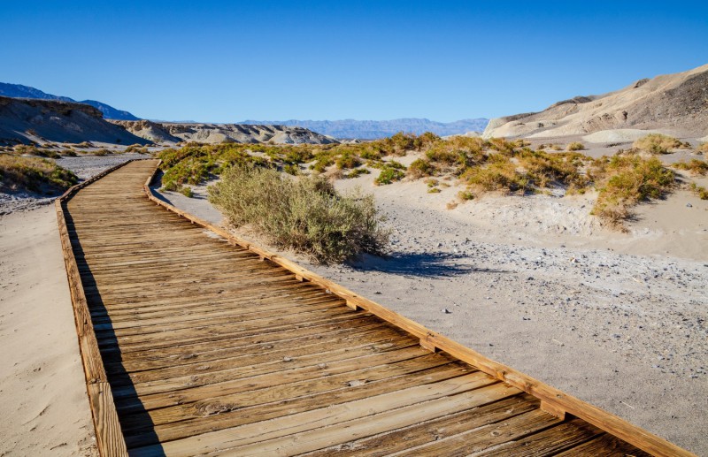 Ash Meadows National Wildlife Refuge.