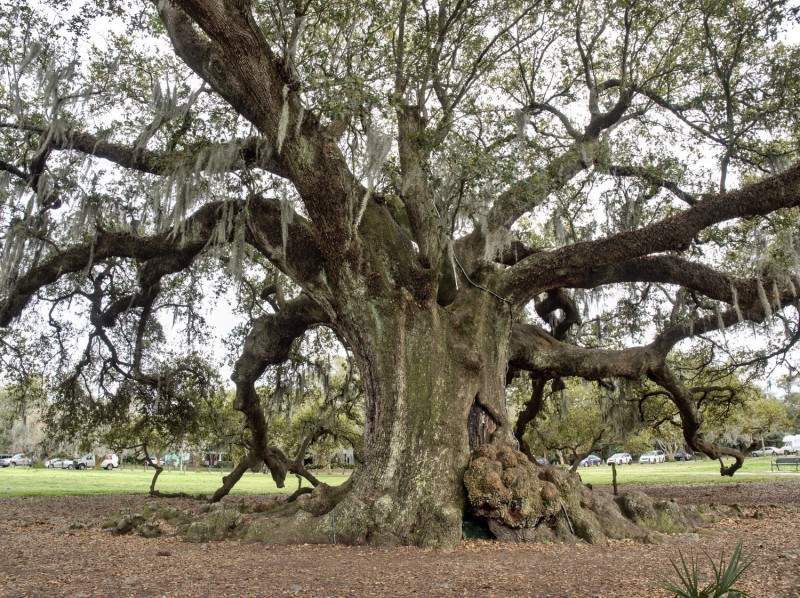 Audubon Park.