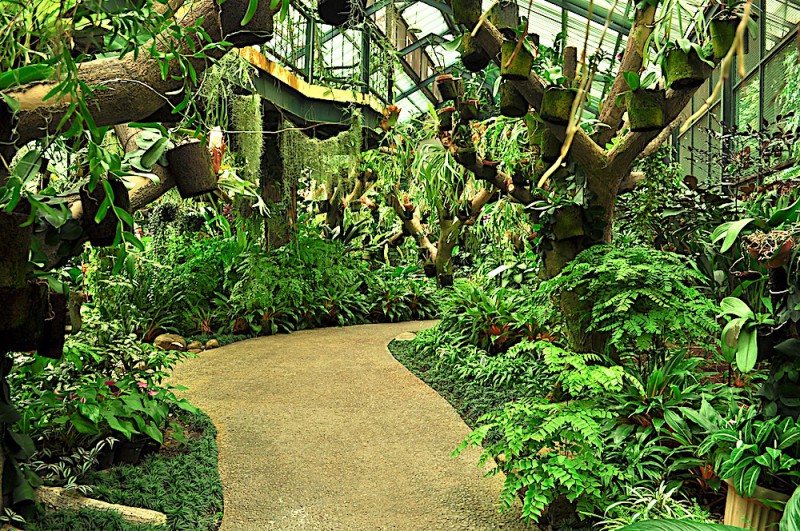 Botanická zahrada v Bogoru.
