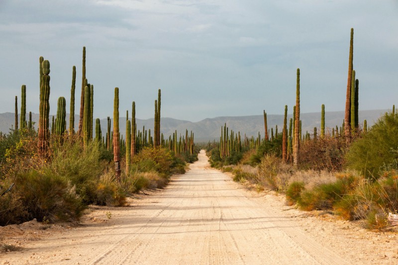 Typická Baja California.