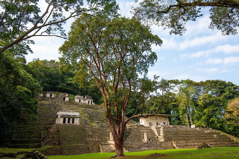 Pyramida v Bonampaku.