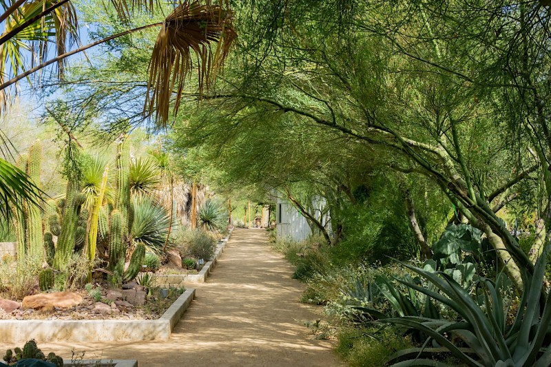 Botanická zahrada v Las Vegas.