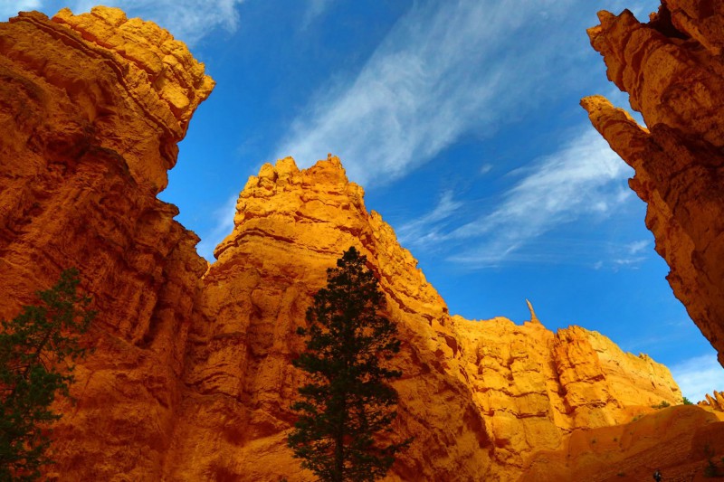 Navajo Loop Trail.