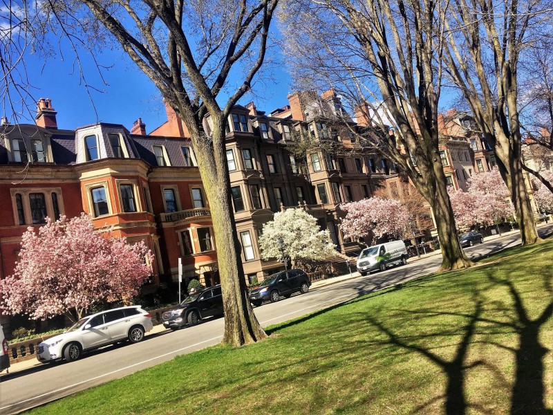 Commonwealth Avenue Boston.