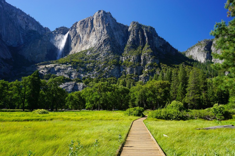 Stezka Cook's Meadow Trail.