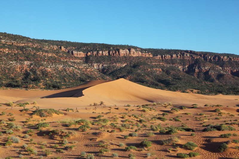 Coral Pink Sand Dunes State Park.