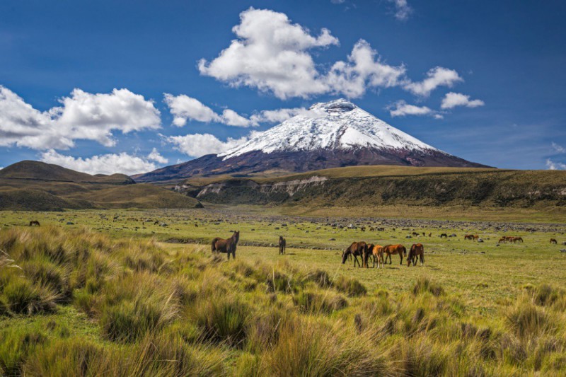 Národní park Cotopaxi.