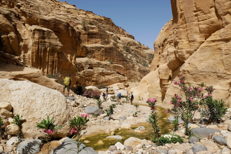 Dana Biosphere Reserve.