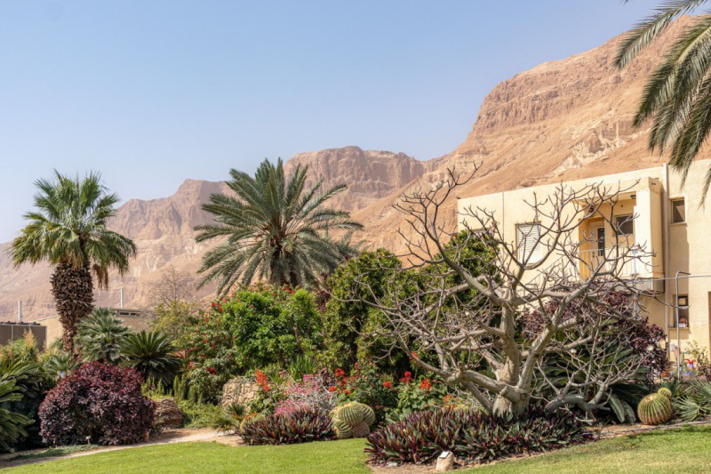 Osada Ein Gedi.
