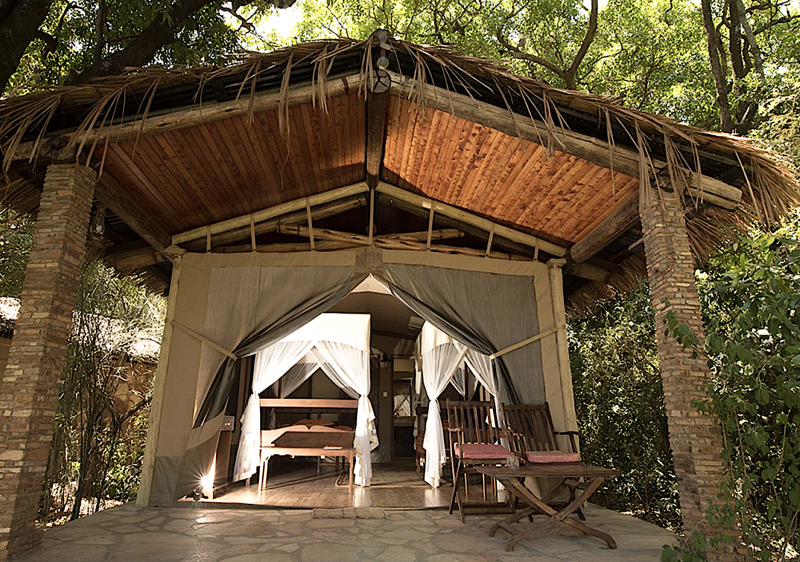 Fig Tree Camp v Masai Mara.