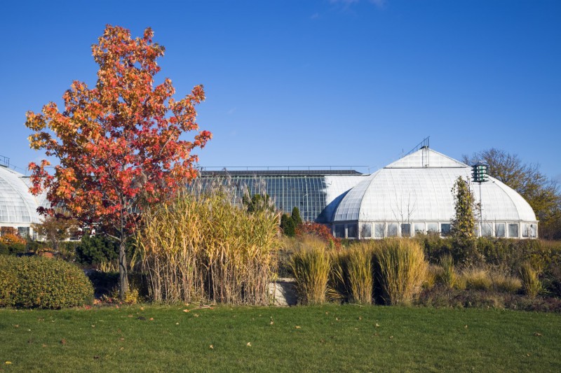 Garfield Park Conservatory.