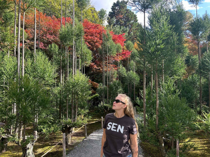 Barevné stromy v oblasti Nikkó.