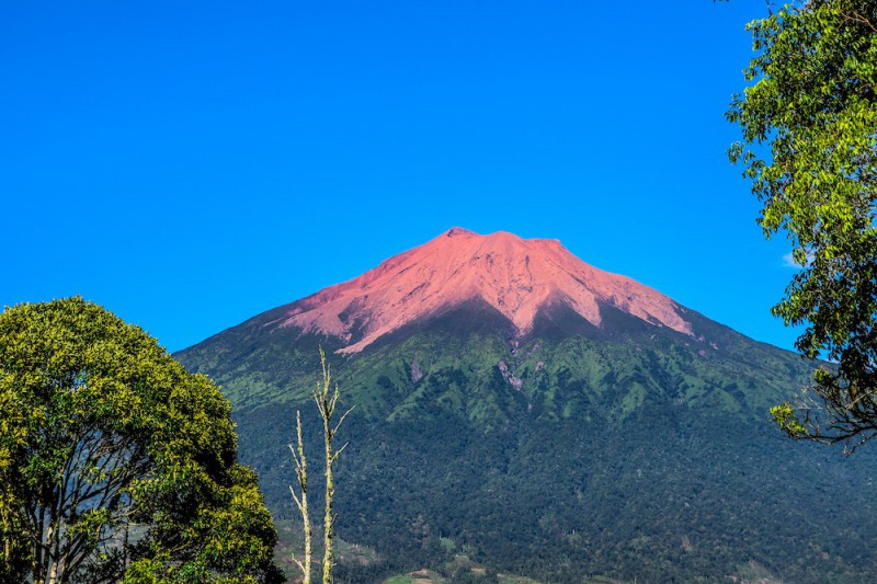 Sopka Kerinci v národním parku.
