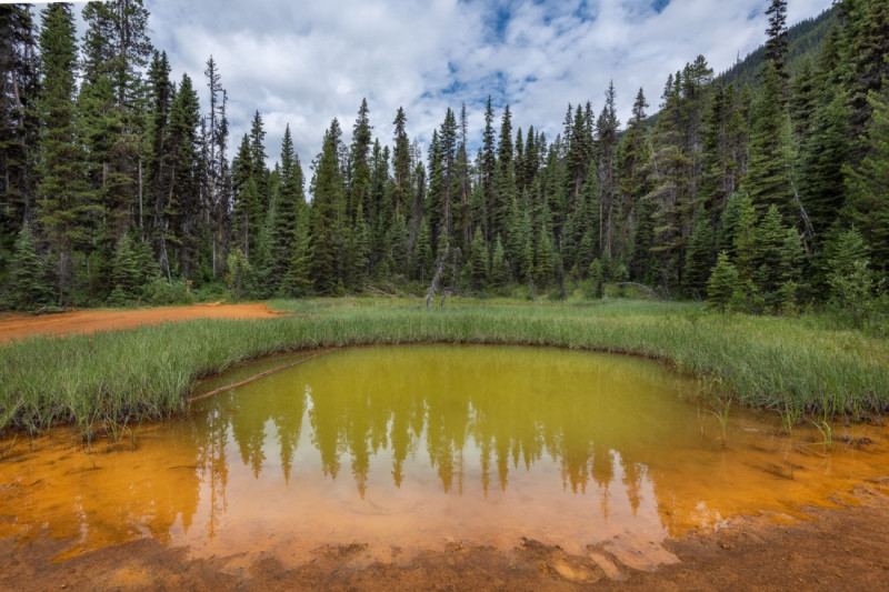 Paint Pots (Malované nádoby).