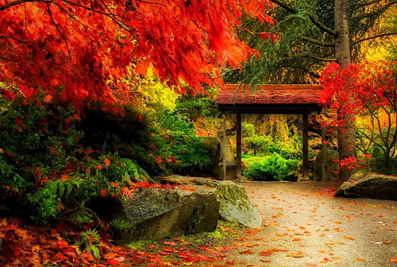Japonské Kubota zahrady.