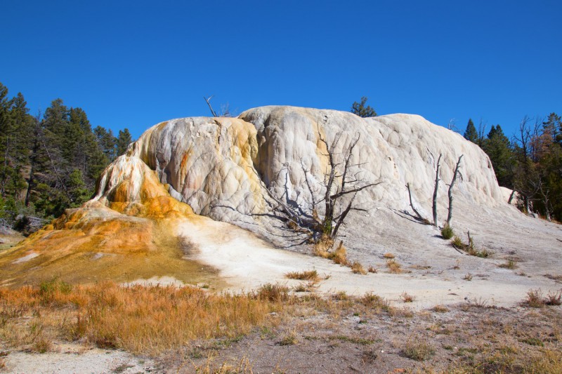 Mammoth Hot Springs.